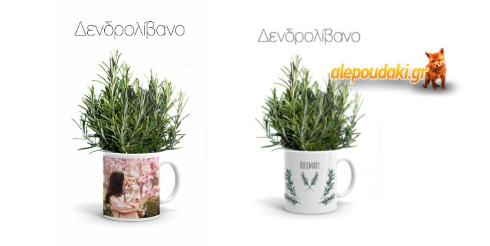 Κούπες Αρωματικών Φυτών, σε 8 επιλογές με φωτογραφία σας ή και όχι!!! (p.153)